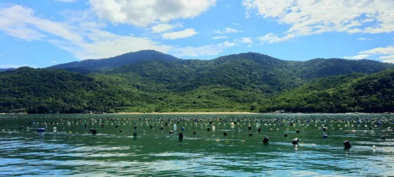Vista da Praia Lagoa, em Bombinhas. Imagem do acervo oficial de turismo.